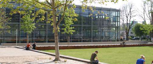 Commercial Property